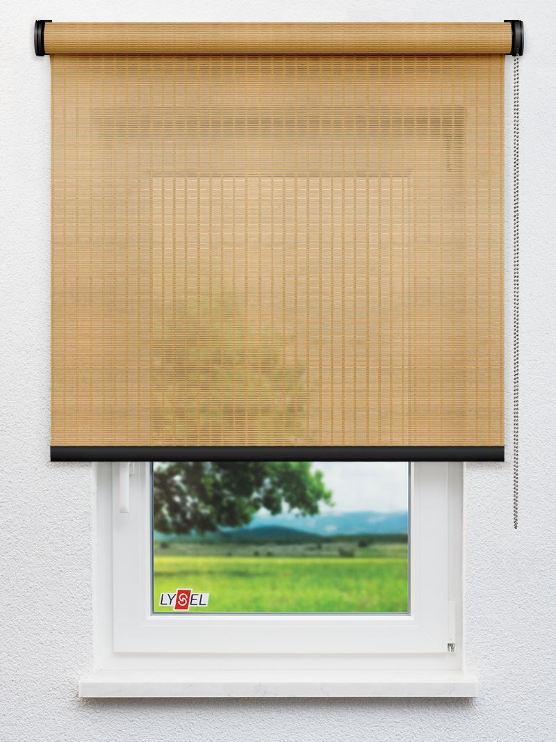 R8017 Fensteransicht