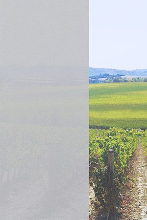 Preview Buchen 10.494e 2