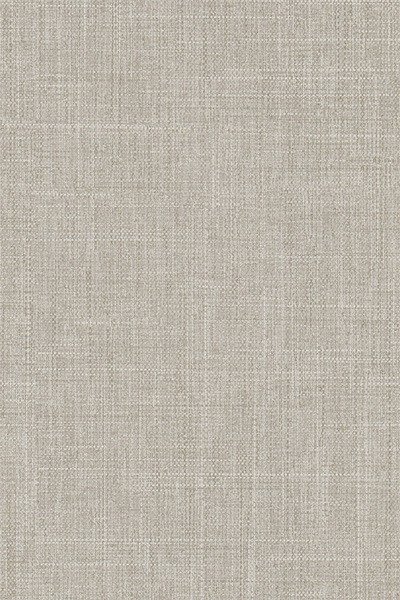 Lamelle Kuba 2002.1178 Detailansicht