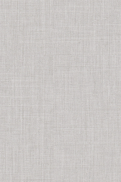 Lamelle Kuba 2001.1177 Detailansicht