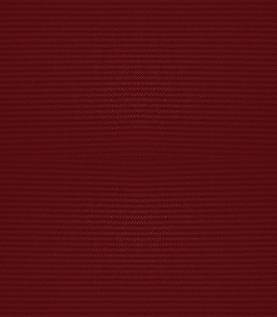 Detailansicht Bergwitzsee 040182