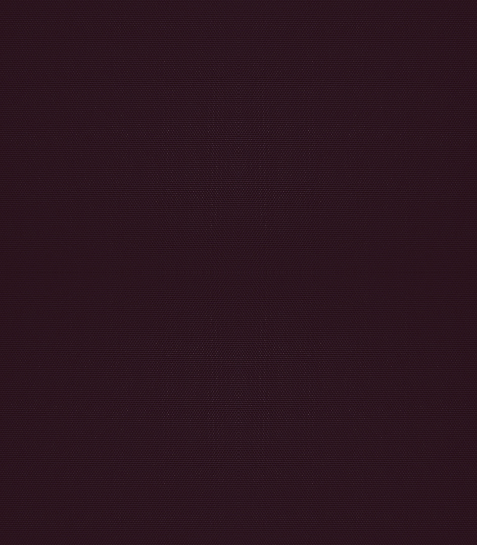 Detailansicht Bergwitzsee 040184