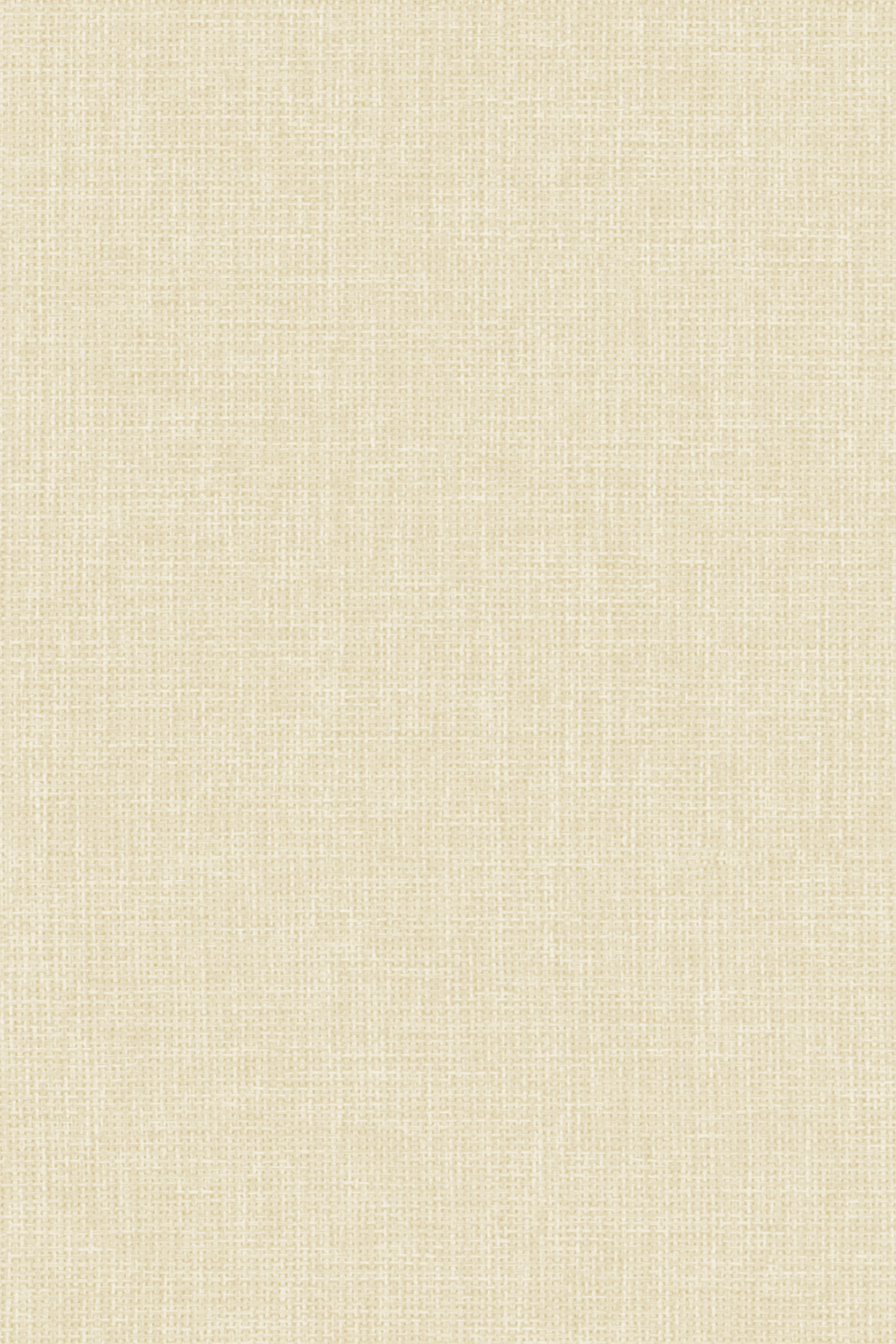 Detailansicht Lamelle Chile 2002.1143