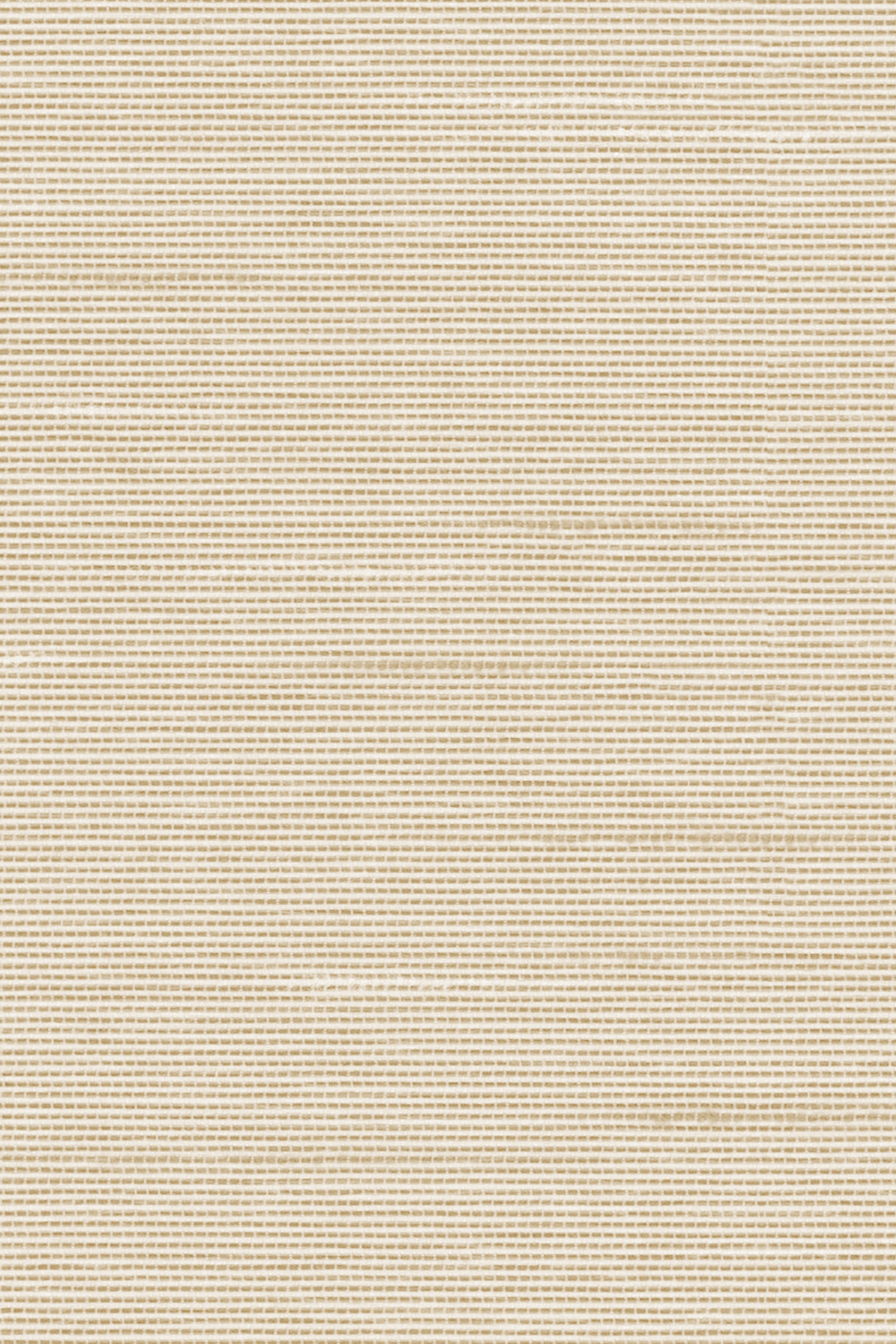 Detailansicht Lamelle Haiti 2002.1165