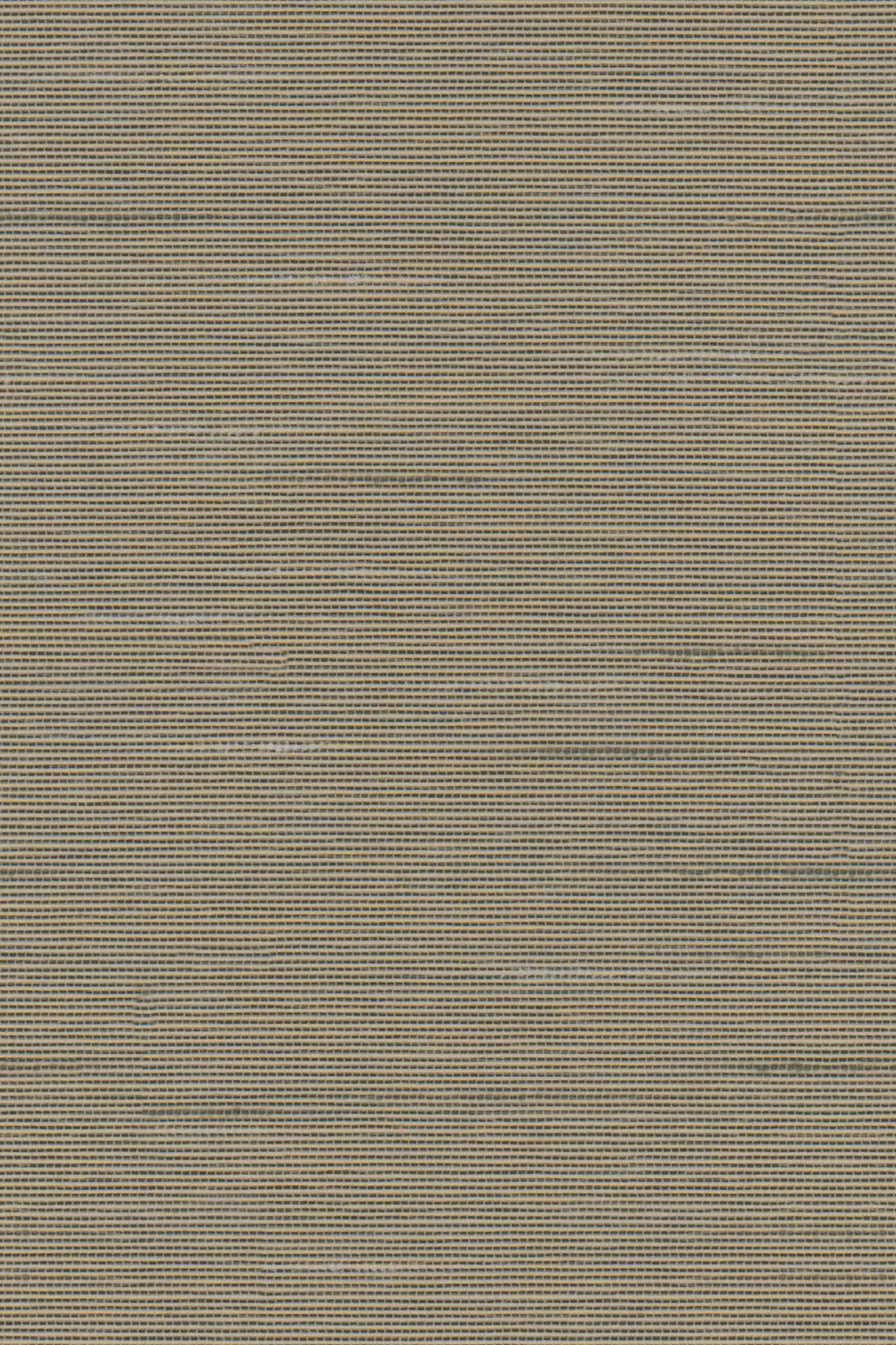 Detailansicht Lamelle Haiti 7006.1170