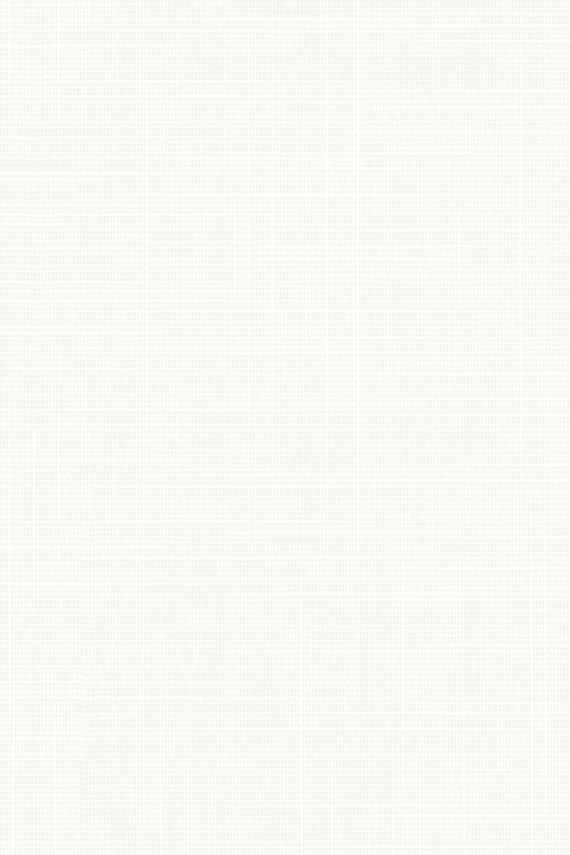 Detailansicht Lamelle Bahamas 1002.1134