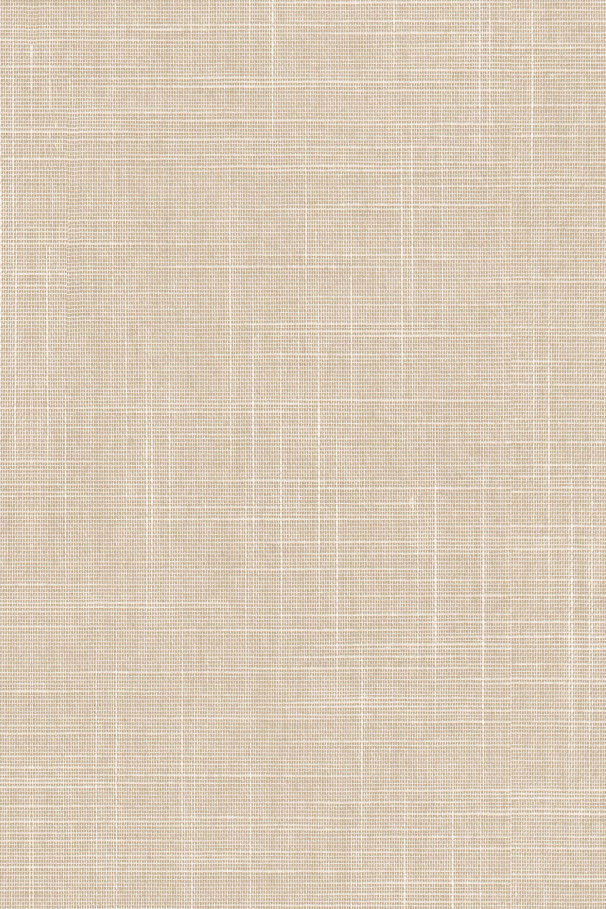 Detailansicht Lamelle Bahamas 2003.1135