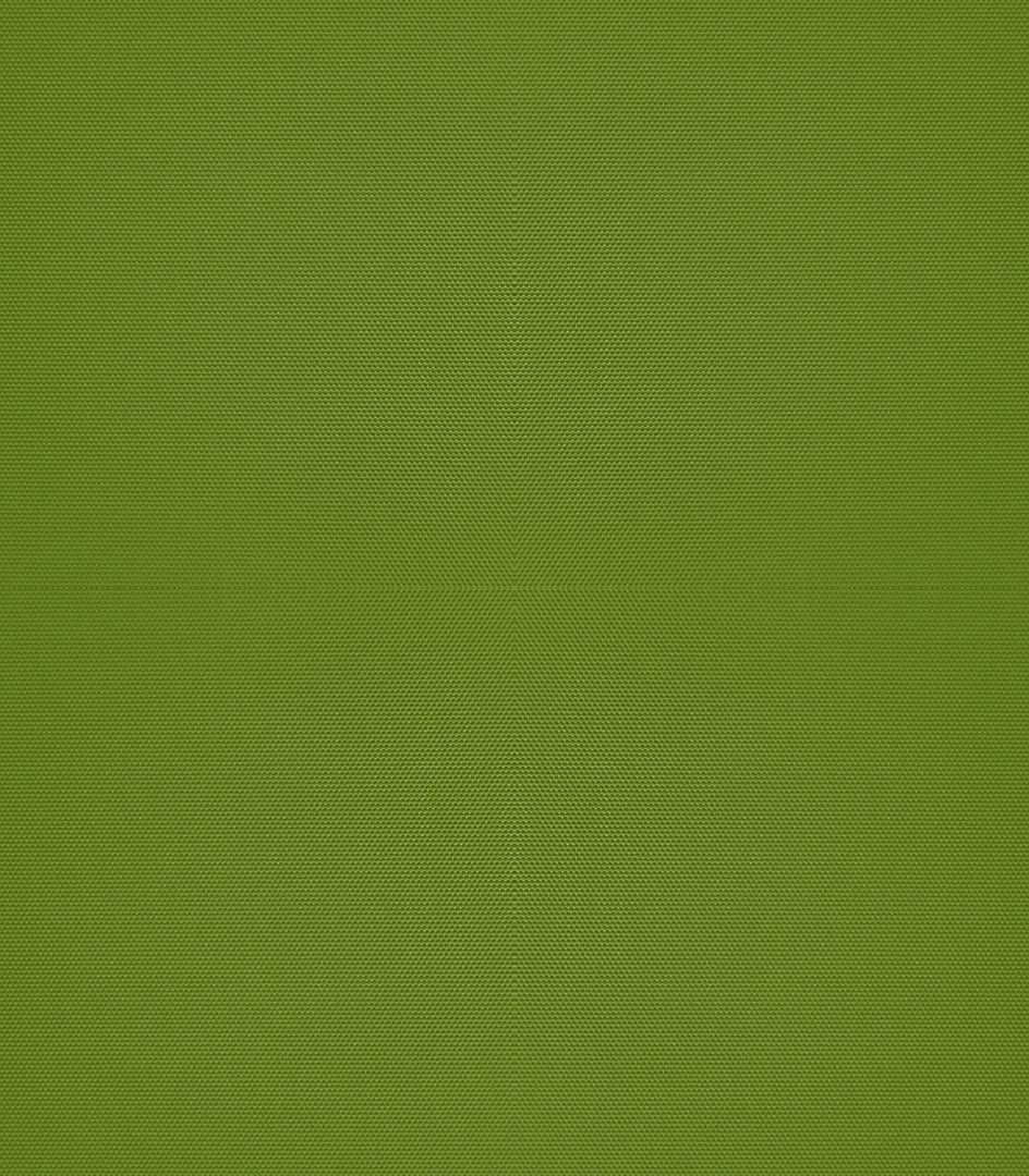 Detailansicht Bergwitzsee 060178