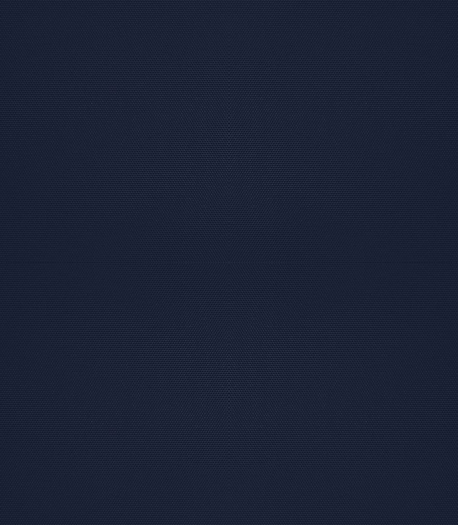 Detailansicht Bergwitzsee 050186