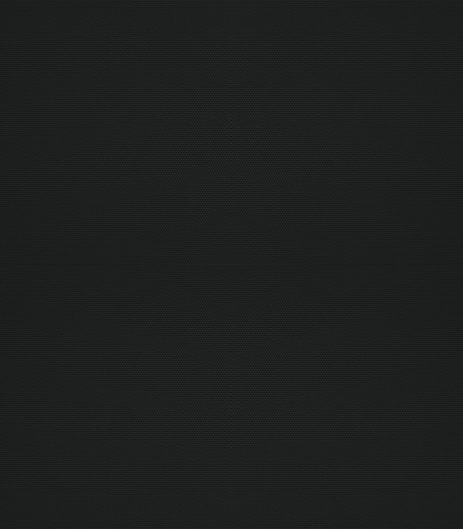 Detailansicht Bergwitzsee 080192