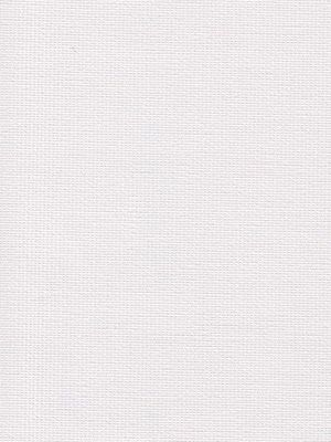 Detailansicht Chiemsee 010112