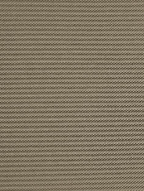 Detailansicht Schleichersee 022247