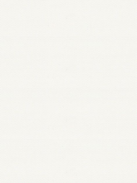 Detailansicht Annasee 014045