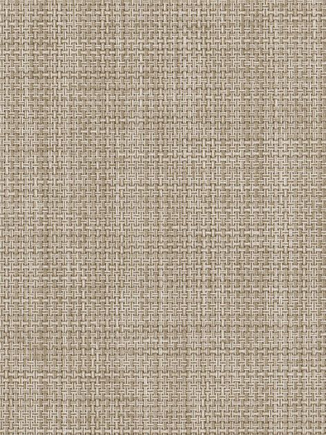 Detailansicht Aschbachsee 024051