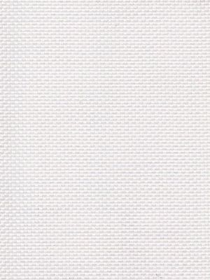 Detailansicht Müritz 018026