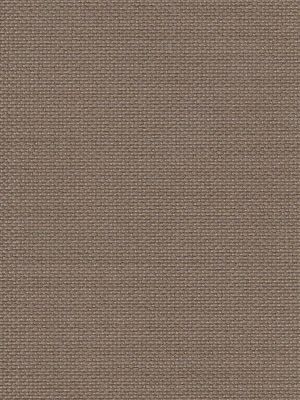 Detailansicht Scharmützelsee 079926