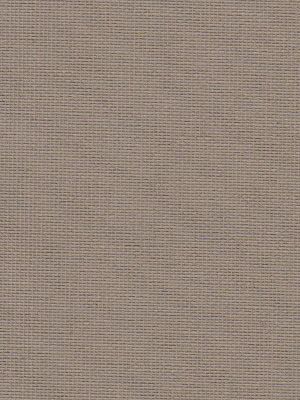 Detailansicht Chiemsee 079036