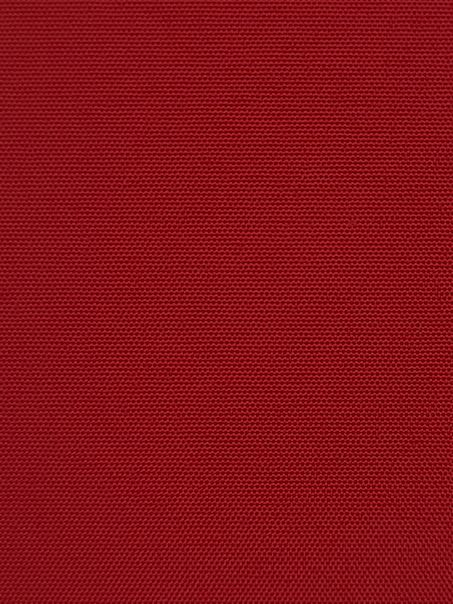 Detailansicht Boddensee 04B0767