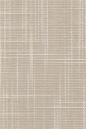 Lamelle Niederlande 2003.1025 Detailansicht