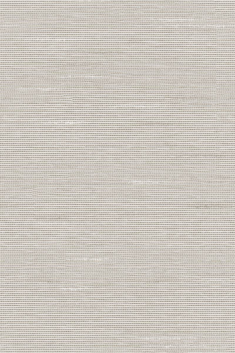 Lamelle Haiti BO 2003.1185 Detailansicht