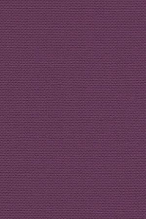 Lamelle Belgien 1702.1010
