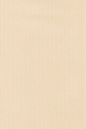 Lamelle Finnland 2005.1036