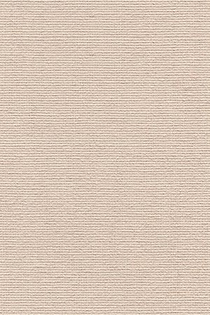 Lamelle Dänemark 2005.1046 Lamelle Dänemark 2005.1046