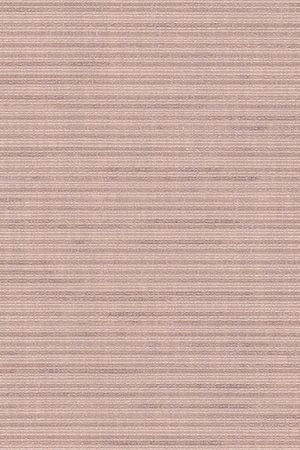 Lamelle Russland 2001.1111