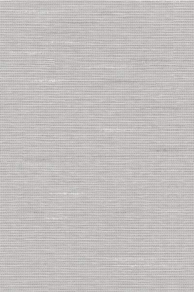 Lamelle Haiti 9004.1167