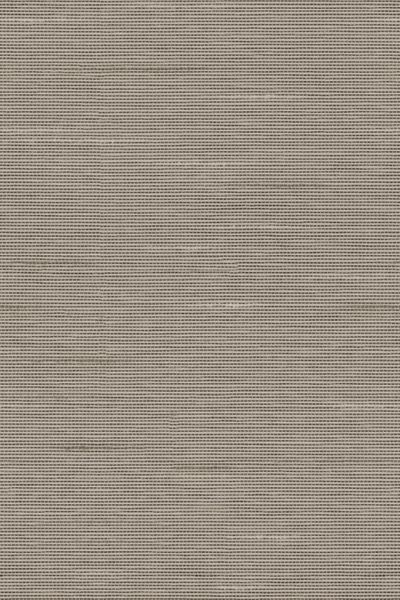 Lamelle Haiti 9005.1169