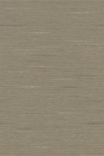 Lamelle Haiti 7006.1170