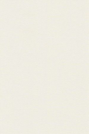 Lamelle Bulgarien 2004.1058
