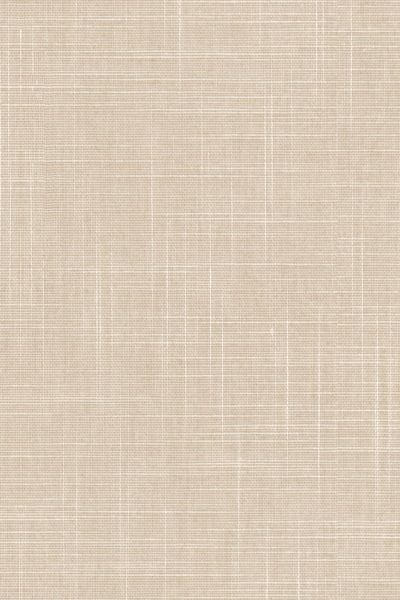 Lamelle Bahamas 2003.1135 Lamelle Bahamas 2003.1135