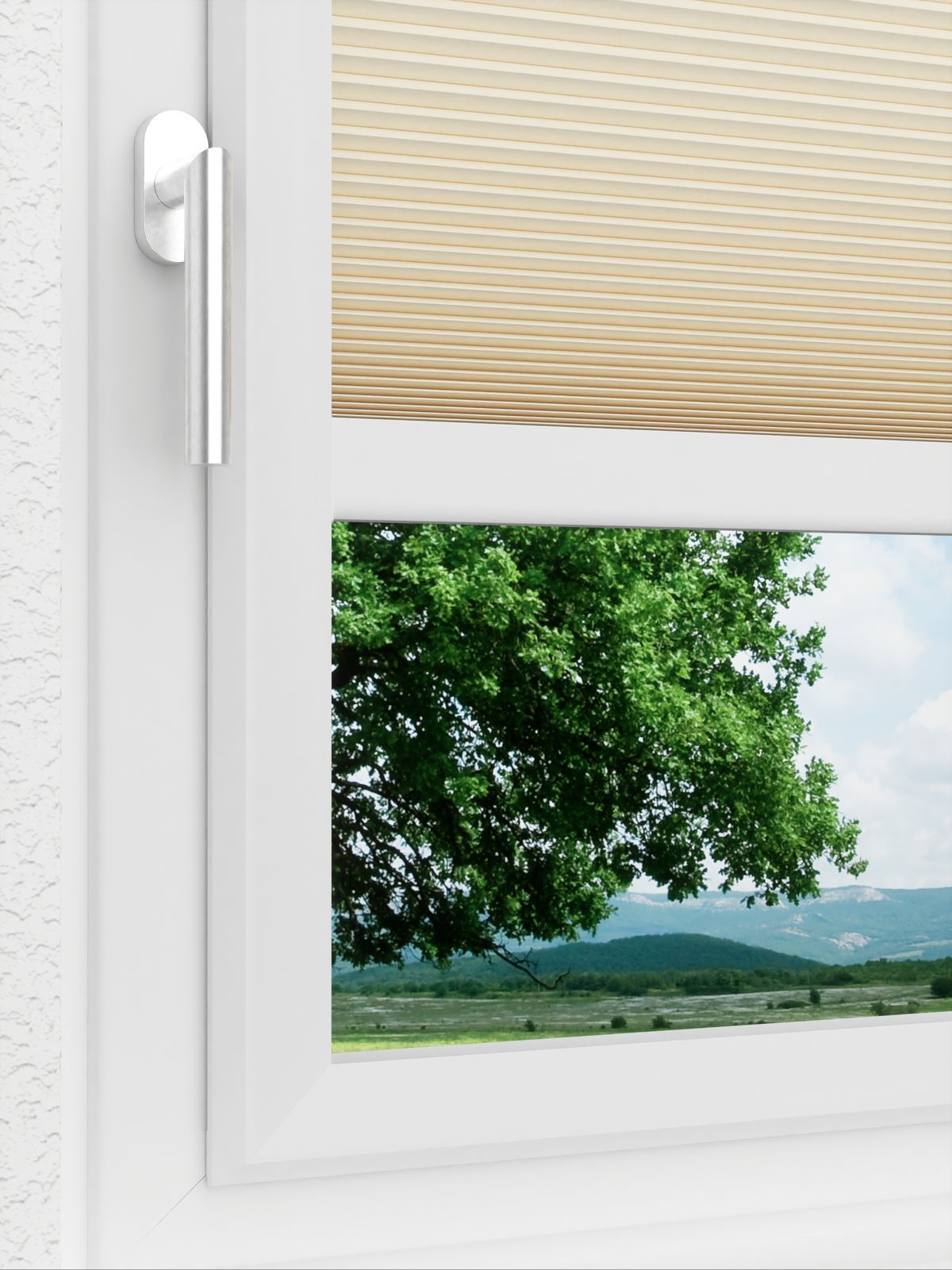 Detailansicht LYSEL HOME Plissee 013A Alba LI Wabe