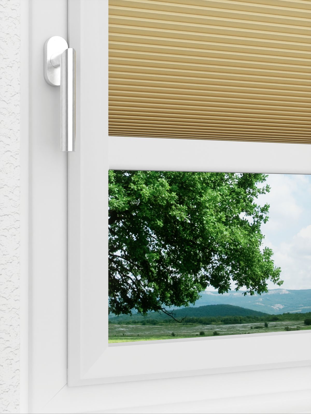 Detailansicht LYSEL HOME Plissee 031A Alba LI Wabe