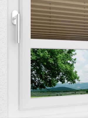 Preview LYSEL HOME Plissee 234A Aralia 3