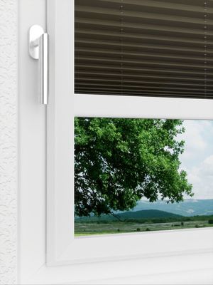 Preview LYSEL HOME Plissee 236A Aralia 3