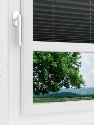 Preview LYSEL HOME Plissee 137A Aralia 3