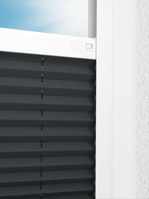 Preview LYSEL HOME Plissee 116A Pinus BO 2