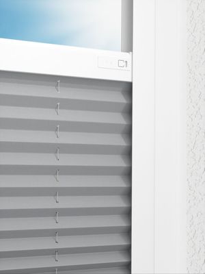 Preview LYSEL HOME Plissee 218A Pinus BO 2