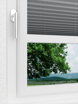 Preview LYSEL HOME Plissee 218A Pinus BO 3