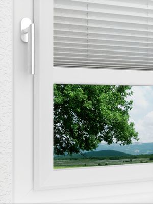 Preview LYSEL HOME Plissee 135A Arum 3