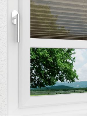 Preview LYSEL HOME Plissee 111A Calluna 3