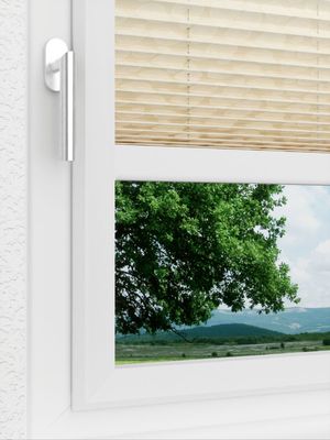 Preview LYSEL HOME Plissee 328A Shiny Rings 3
