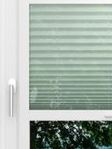 LYSEL HOME Plissee 423A Sensitivo Fensteransicht