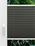 LYSEL HOME Plissee 202B Aralia BO Fensteransicht