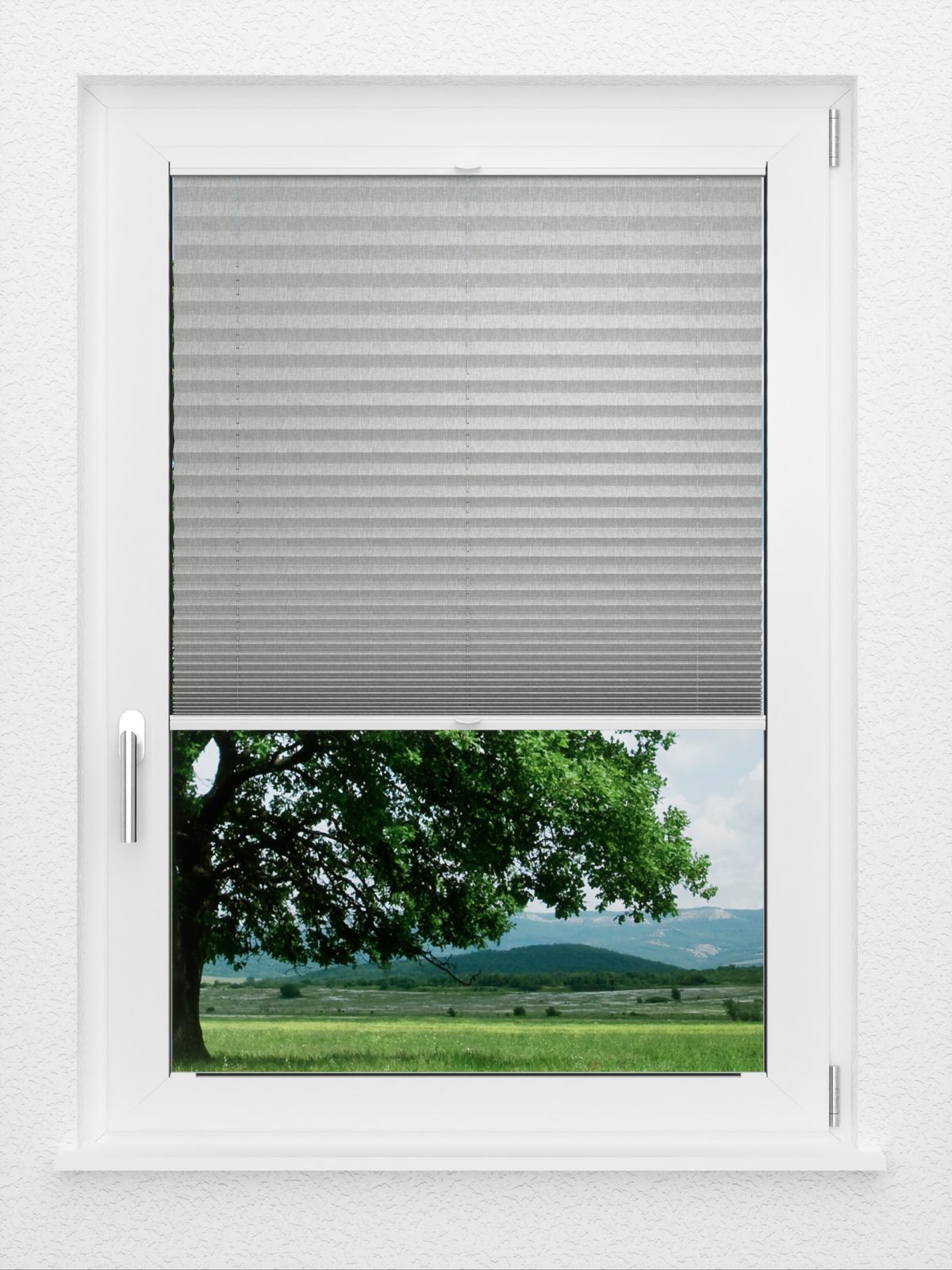 Detailansicht LYSEL HOME Plissee 217A Betula BO