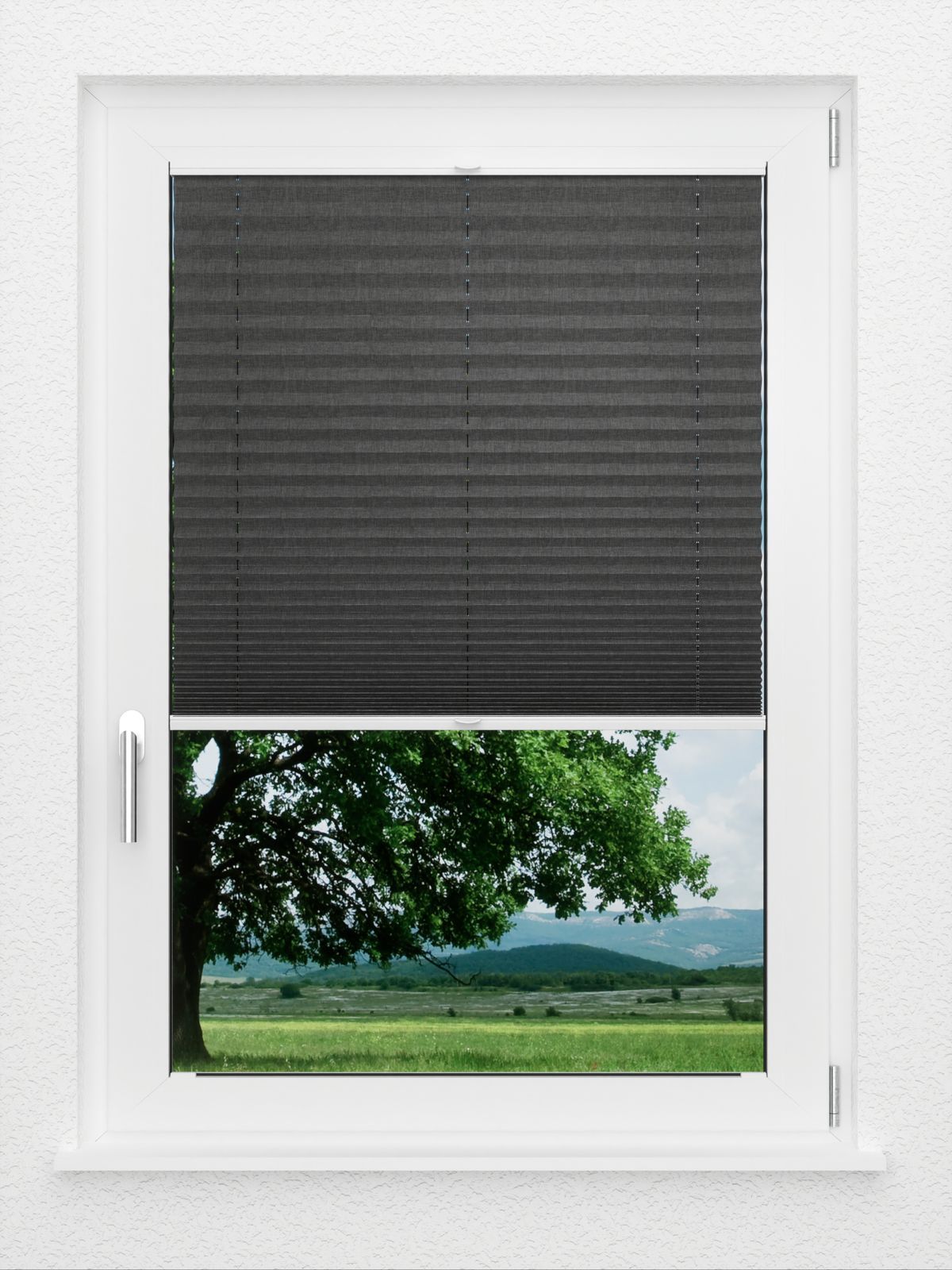 Detailansicht LYSEL HOME Plissee 117A Betula BO