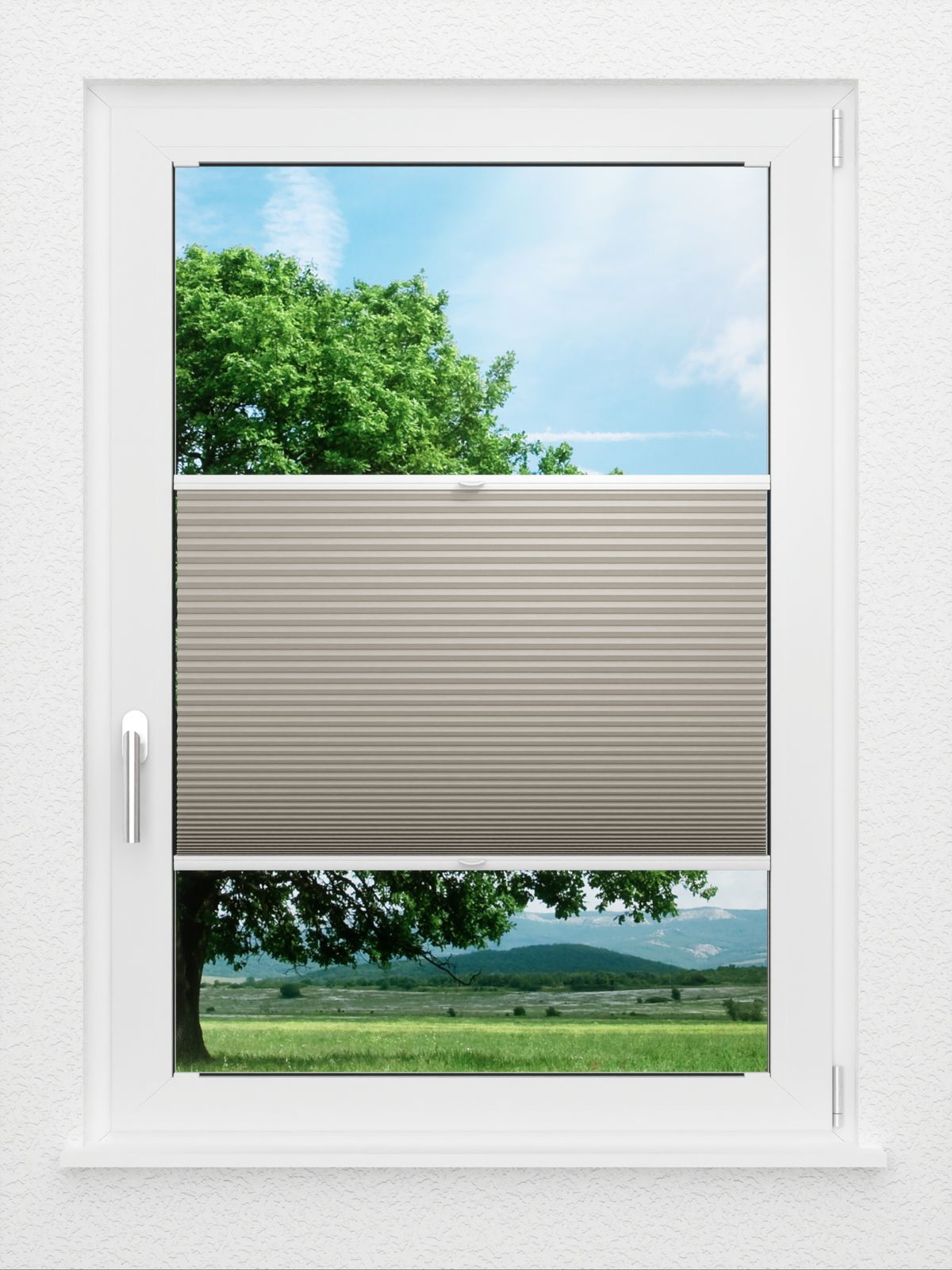 Detailansicht LYSEL HOME Plissee 008A Nana BO Wabe