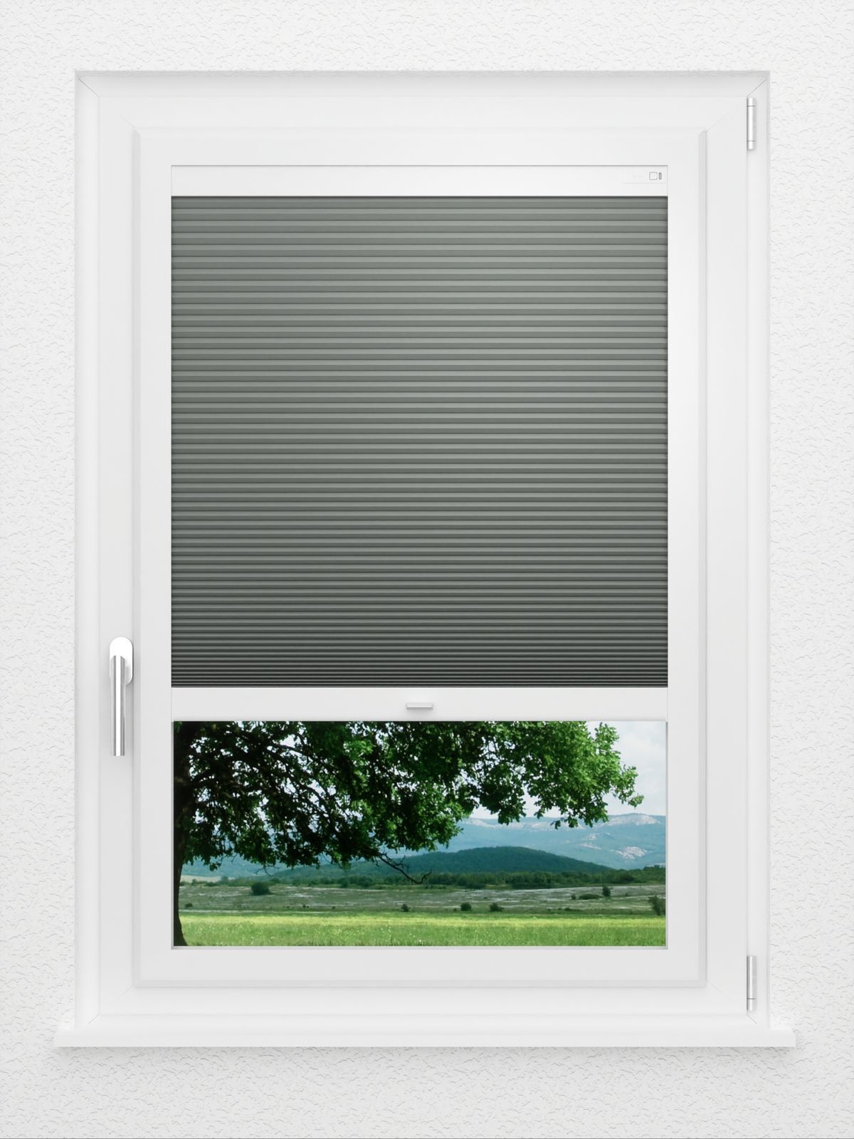 Detailansicht LYSEL HOME Plissee 036A Nana BO Wabe